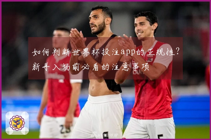 如何判断世界杯投注app的正规性？新手入场前必看的注意事项