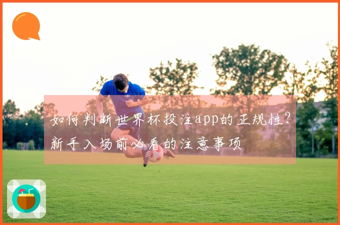 如何判断世界杯投注app的正规性？新手入场前必看的注意事项