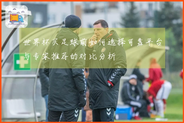 世界杯买足球前如何选择可靠平台与专家推荐的对比分析