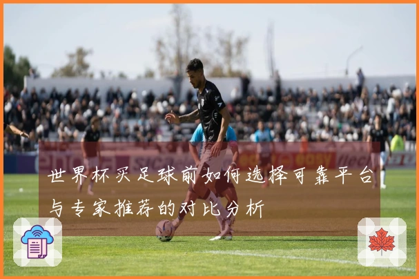 世界杯买足球前如何选择可靠平台与专家推荐的对比分析
