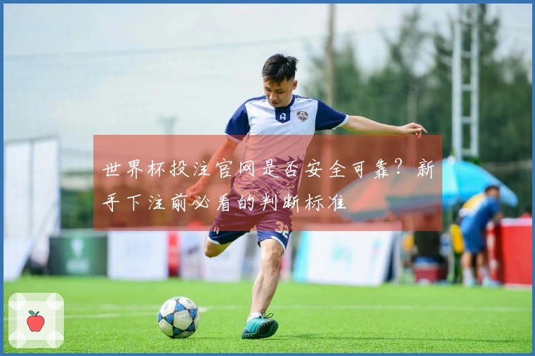 世界杯投注官网是否安全可靠？新手下注前必看的判断标准