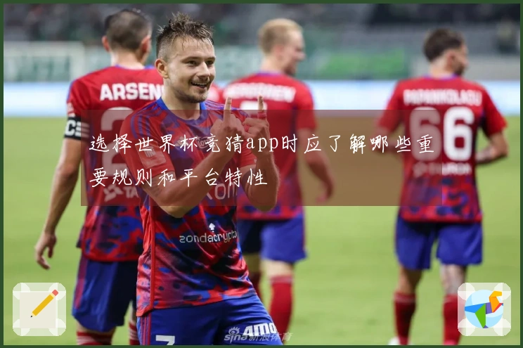 选择世界杯竞猜app时应了解哪些重要规则和平台特性