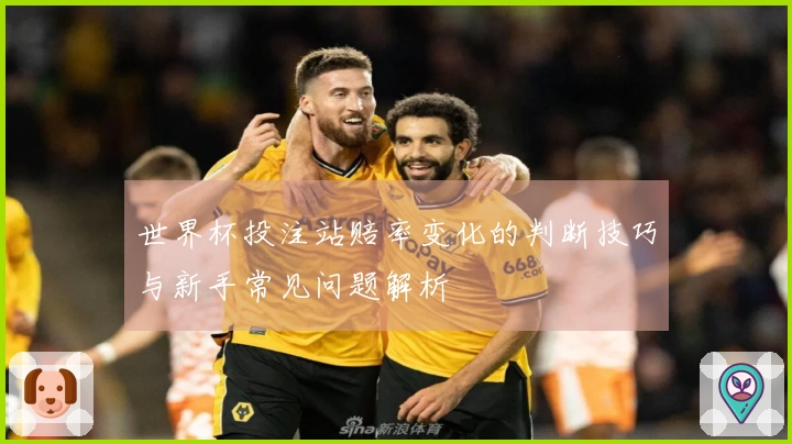 世界杯投注站赔率变化的判断技巧与新手常见问题解析